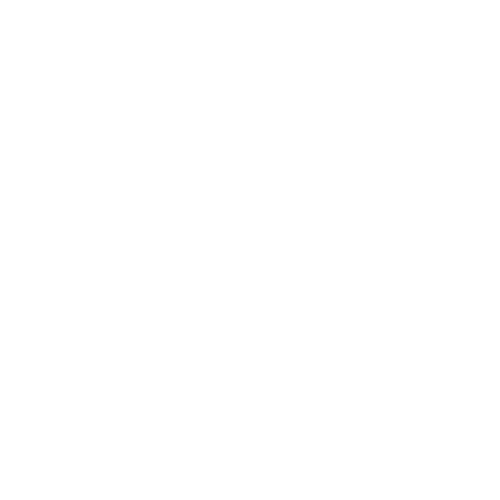 Startseite Präzise Ausführung und Qualitätskontrolle durch Frank Baukonzept